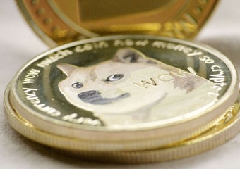 Elon Musk's theory of universe